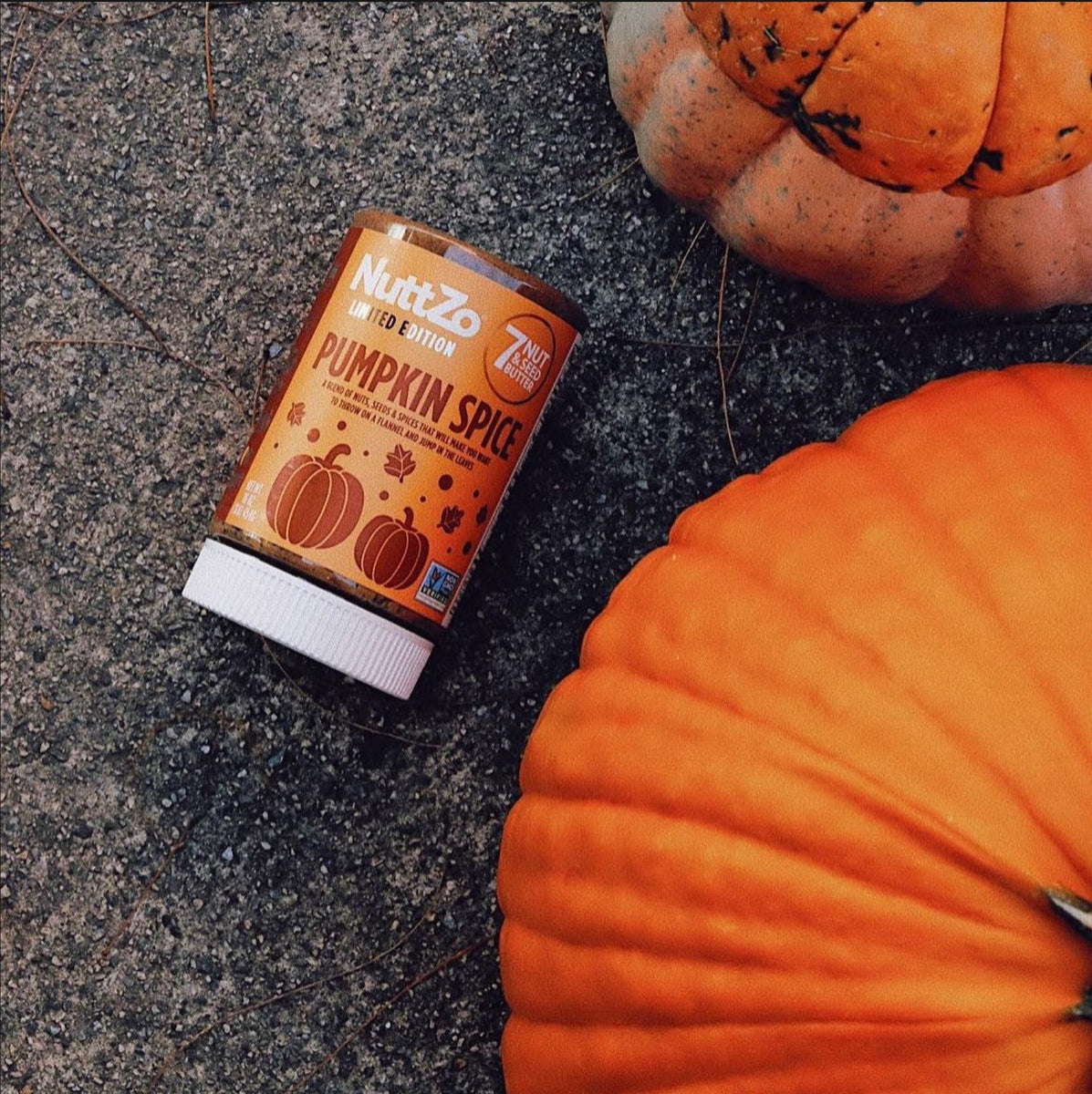 The 15 Best Pumpkin Spice Products to Try This Fall NuttZo